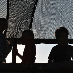 DSC 3258 - Scouts en Gidsen Zaventem 